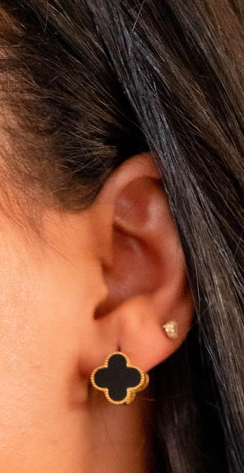 18K gold plated Stainless steel earrings