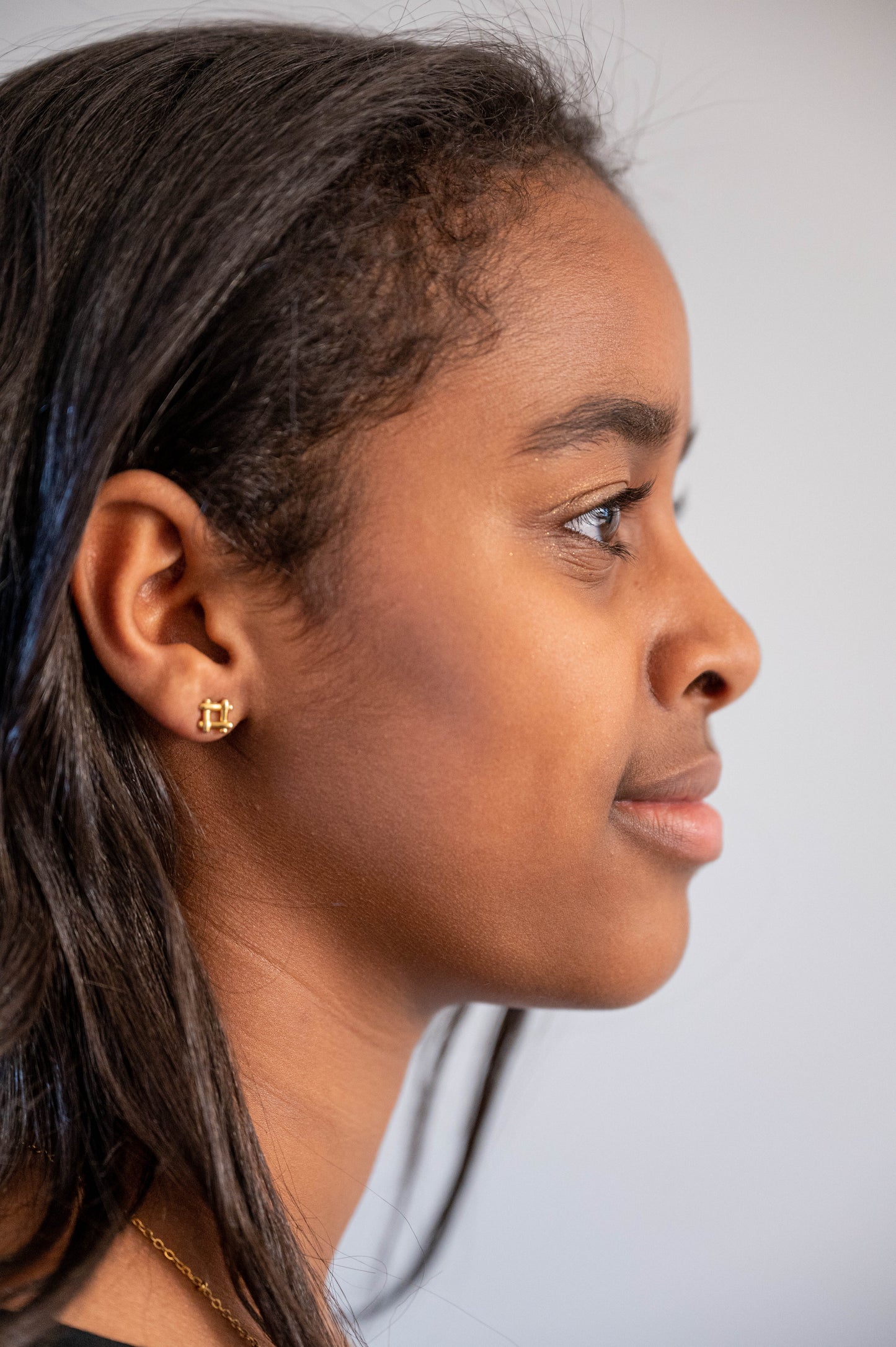 18K gold plated Stainless steel earrings