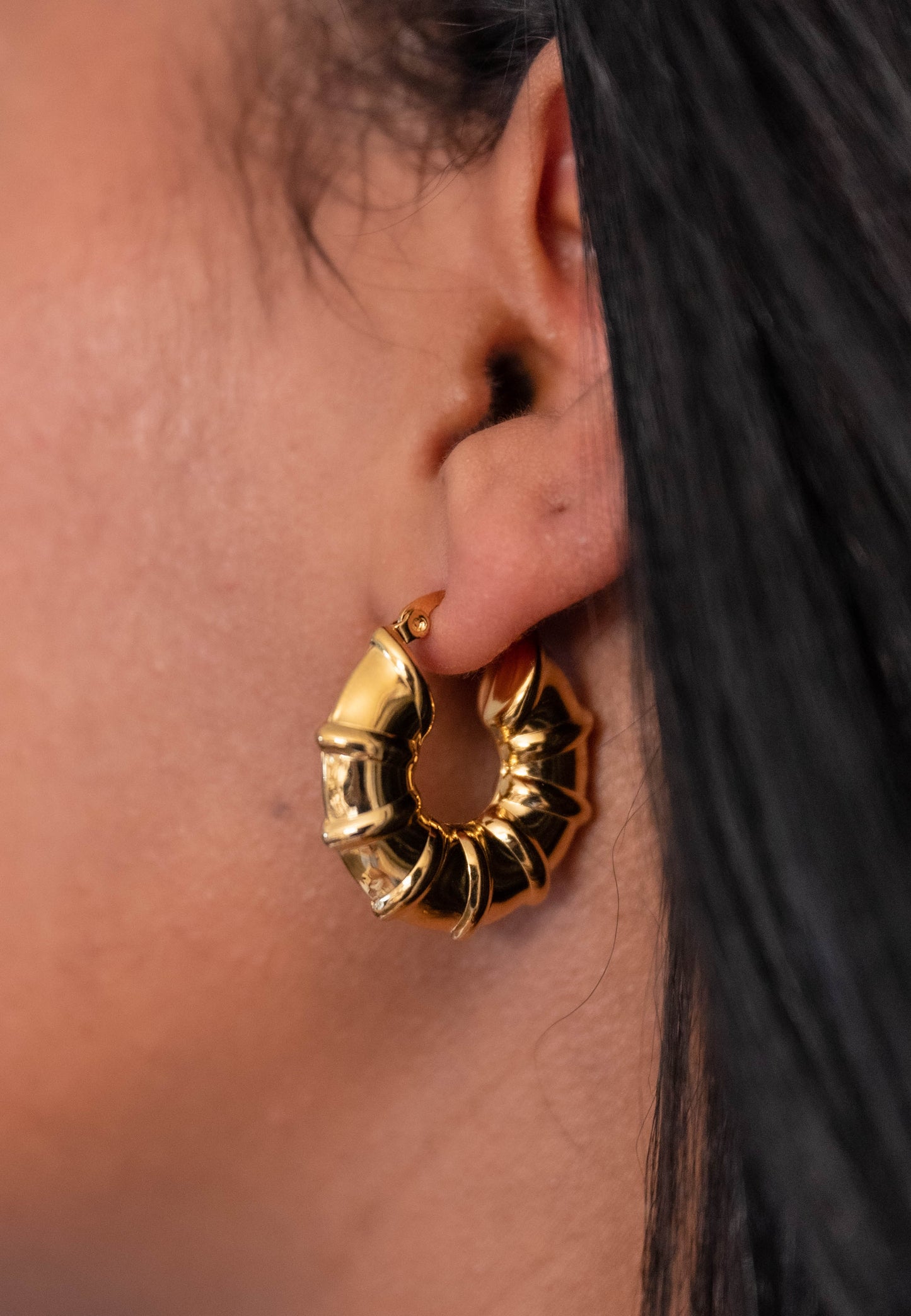 18K gold plated Stainless steel earrings